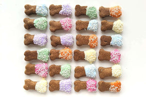 Assorted decorated mini dog bone dog treats
