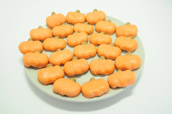 mini orange pumpkin dog treats